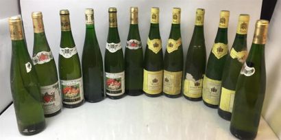 null 12 bouteilles de vin d'Alsace divers: Willm Gewurztraminer, Sylvaner, kohler...