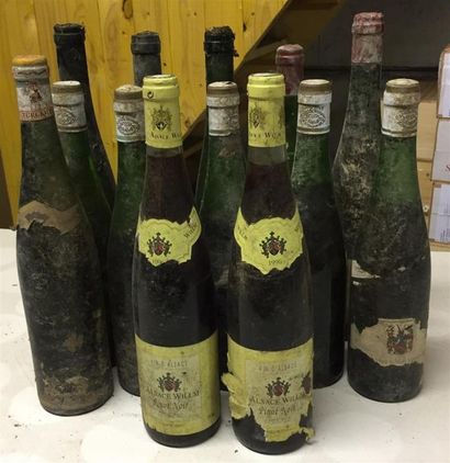 null Lot de 12 bouteilles de vin d'Alsace niveaux inégaux et très bas, sans étiquettes...