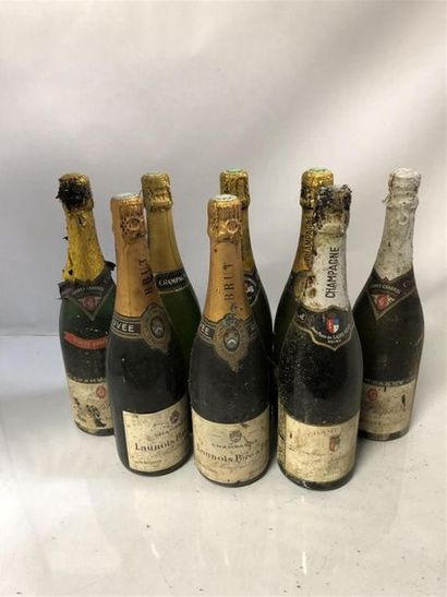 null 8 bouteilles de champagne: Premier cru Saint Felix, Launois premier cru, Dumez...