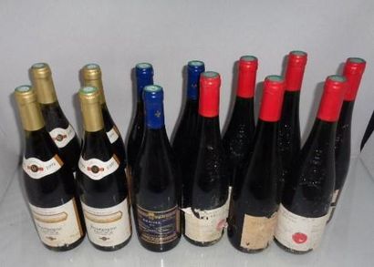 null Lot de 13 bts : Bourgogne Pinot noir 1999. Bourgueil Mabileau 2010. Domaine...