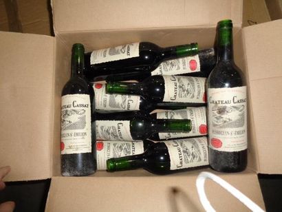 null 10 bts chateau cassat, puisegain saint emilion 2006