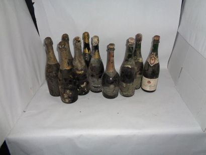 null 10 bouteilles de Champagne dont Eugène Barbier Brut, 2 Perlant blanc de blancs,...