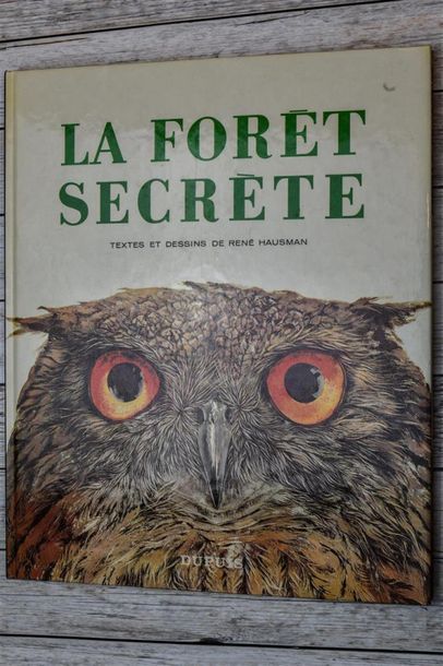 null René HAUSMAN (1936-2016) "La forêt secrète" Dupuis, 1979. E.O.