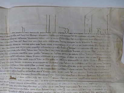 null [Religiosa] Paul III Farnèse (1534-1549), Bulle manuscrite sur peau de vélin,...