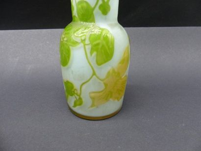 David GUERON dit DEGUE David GUERON dit DEGUE (1892 - 1950). Vase en verre double...