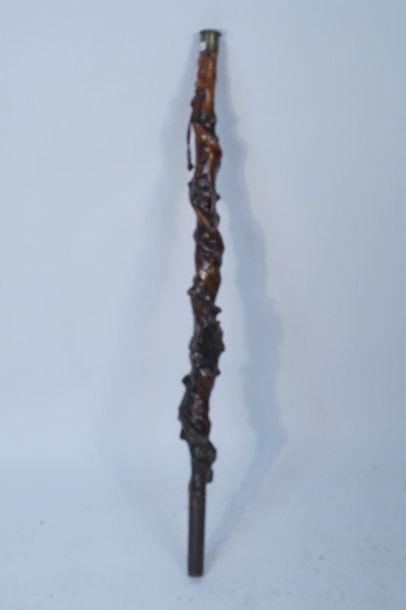 Canne en ronce Canne en ronce teintée à pommeau de cuivre. Longueur : 87 cm 