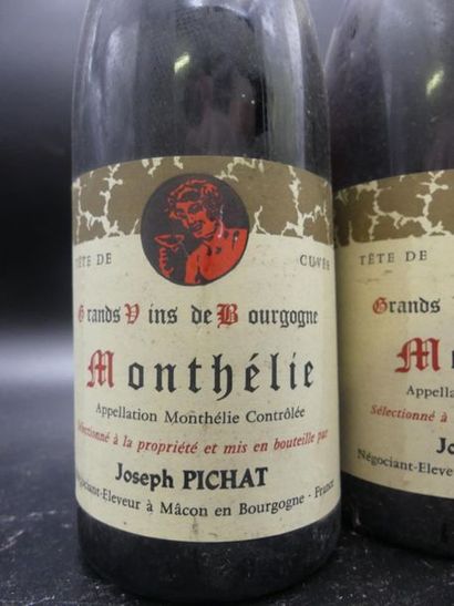 MONTHELIE 1985 Joseph Pichat 2 bouteilles de MONTHELIE 1985 Joseph Pichat
