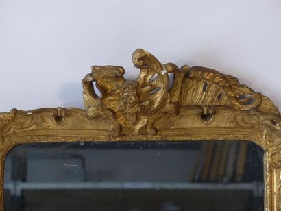 Miroir Louis XV Miroir coquille en bois doré à décor de rinceaux mouvementés. Epoque...