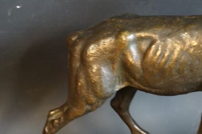 Clovis-Edmond MASSON Clovis-Edmond MASSON (1838-1913) Cerf, Bronze à patine brun...