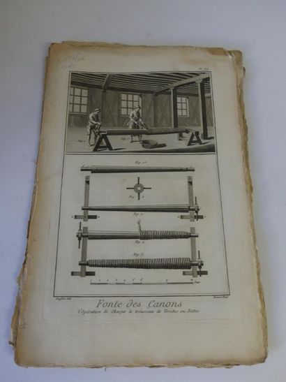 Planches de l'Encyclopédie de Diderot et d'Alembert, XVIIIe. Histoire Naturelle....