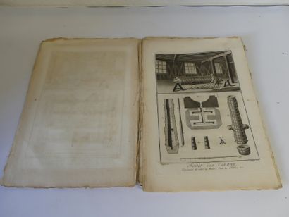 Planches de l'Encyclopédie de Diderot et d'Alembert, XVIIIe. Histoire Naturelle....