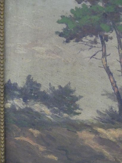Paysage des landes Ecole française du XIXème siècle, Paysage des landes, huile sur...