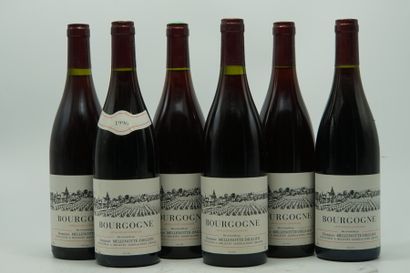 null 6 bouteilles de Bourgogne 1996 domaine Mellenotte-Drillien

manque la collerette...