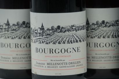 null 6 bouteilles de Bourgogne 1996 domaine Mellenotte-Drillien

manque la collerette...