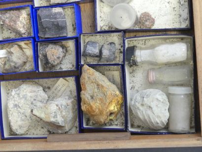 Réunion de minéraux, coquillages et fossiles Réunion de minéraux, coquillages et...