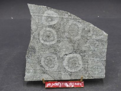 Diorite Diorite Corse. Dimensions: 12x13x1.5cm. Cassée au milieu et recollée.
