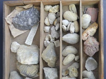 Réunion de pierres, roches, coquillages et fossiles Réunion de pierres, roches, coquillages...