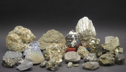 Réunions de Pyrites Réunions de Pyrites de diverses tailles et provenances dont ...