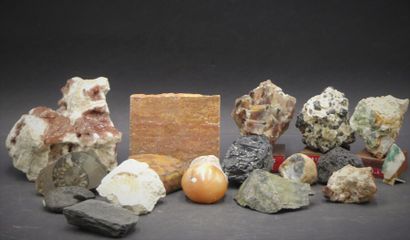 Réunion de minéraux Réunion de minéraux et fossiles de diverses tailles et provenances...