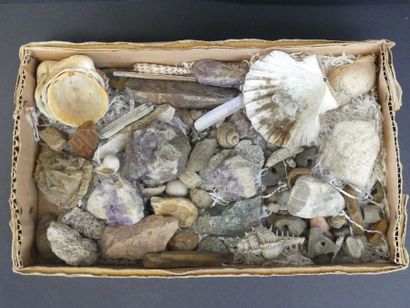 Collection de 42 roches, minéraux et minerais Collection de 42 roches, minéraux et...