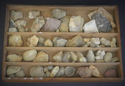 Réunion de pierres, roches, coquillages et fossiles Réunion de pierres, roches, coquillages...