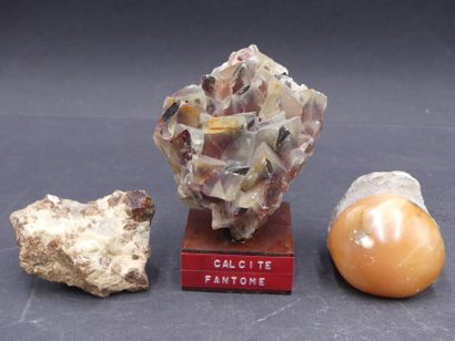 Réunion de minéraux Réunion de minéraux et fossiles de diverses tailles et provenances...