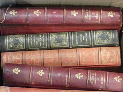 CARTON Cartonnages divers d'éditeurs XIXe, dont : Le Robinson Suisse, Dans Mille...