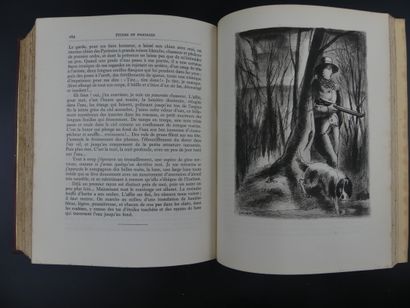Alphonse DAUDET, Oeuvres Complètes Illustrées. Alphonse DAUDET, Oeuvres Complères...