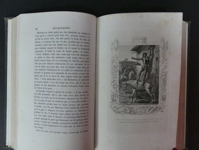 Miguel de CERVANTES SAAVEDRA, ill. par GRANDVILLE, Don Quichotte, 1858. Miguel de...