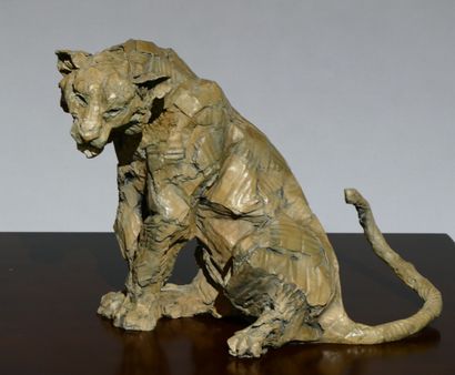 Tigre assis Olivier BERTRAND. Tigre assis, sculpture en bronze, pièce numérotée 1/8...
