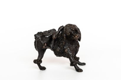 Caniche Petit caniche à ses besoins, bronze à patine noire dit de Vienne, fin XIXème...