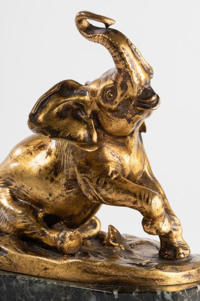 Eléphanteau naissant Charlotte Bertrand (XIX-XX). Eléphanteau naissant, bronze doré,...