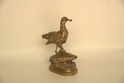 BECASSINE Alphonse Alexandre ARSON (1822-1882). Bécassine en bronze à patine mordorée....