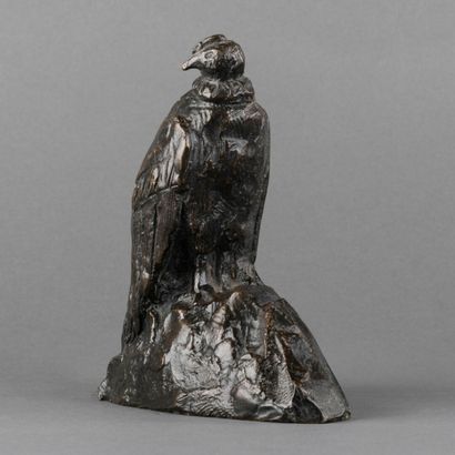 Condor Condor en bronze patiné noir, petit tirage, vers 1910-1920, Dlg de A.collin....