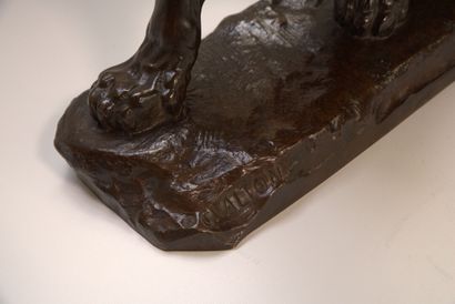 Panthère Charles VALTON (1851-1918). Grande panthère blessée, bronze. Signé, fonte...