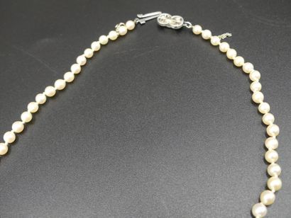 COLLIER Collier de perles de culture, longueur 52 cm.