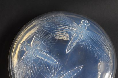 null René LALIQUE (1860-1945). Boite ronde « Libellules », modèle créé en 1921. Épreuves...