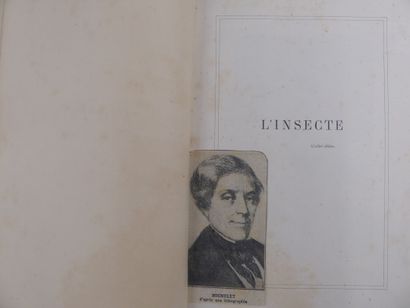 null Jules MICHELET (1798-1874), L'INSECTE, illustré de 140 vignettes sur bois de...