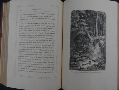 null Jules MICHELET (1798-1874), L'INSECTE, illustré de 140 vignettes sur bois de...