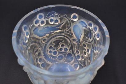 null René LALIQUE (1860-1945). Vase "Avallon", also called "Birds and grapes", model...