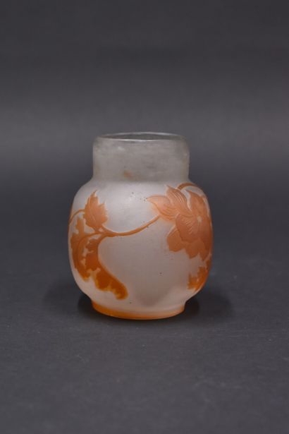 null ETABLISSEMENTS GALLE (1904-1936). Spherical vase with tubular neck. Proof in...