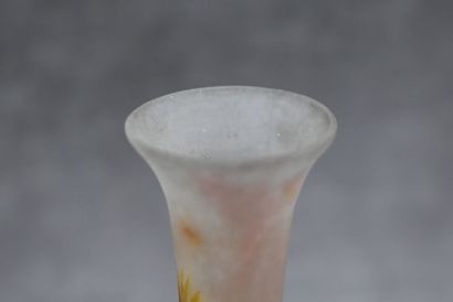 ÉTABLISSEMENT GALLÉ Établissement GALLE. Vase à long col en verre multicouche à décor...