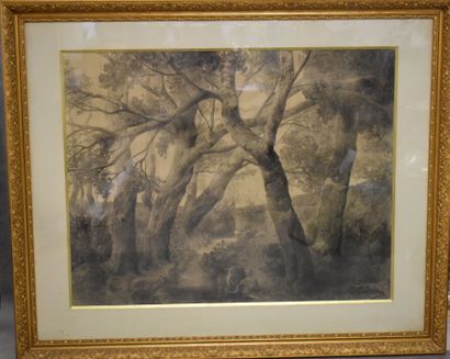 null Joseph COLLA (1841-?), Paysage aux arbres, fusain sur papier. Signé en bas à...