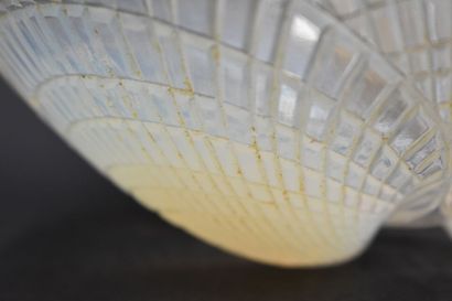 null René LALIQUE (1860/1945). Coupe « Coquilles n°2 », modèle créé en 1924. Épreuve...