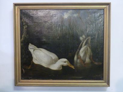 Mare Ecole française du XIXème siècle, Mare aux canard, huile sur toile. Dimensions...