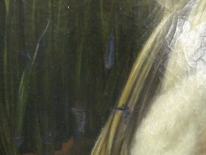 Mare Ecole française du XIXème siècle, Mare aux canard, huile sur toile. Dimensions...