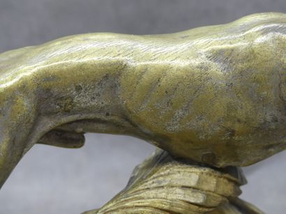 null Alfred DUBUCAND (1828-1894), Lévrier en course, bronze à patine mordoré. Signé...