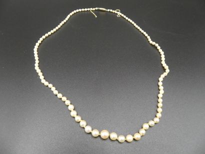 COLLIER Collier de perles de culture en chute, fermoir en OR, Longueur 52cm.