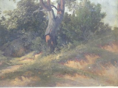 null Edouard Louis CAUVIN (1817-1900) Paysage à la vache, huile sur carton, Signé...