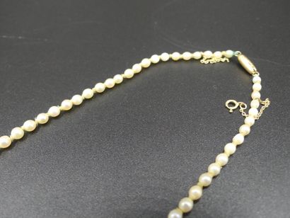 COLLIER Collier de perles de culture en chute, fermoir en OR, Longueur 52cm.